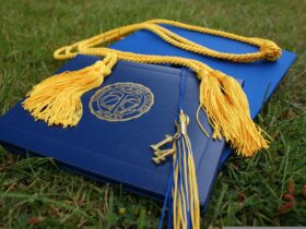 cursos con certificado
