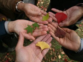 generar valor social