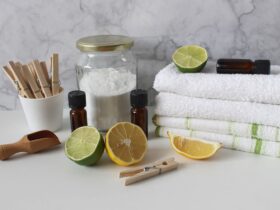 Productos para vender a mis vecinos