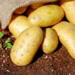 Productos con mayor margen de ganancia