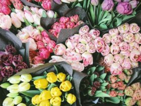 Flores de colores