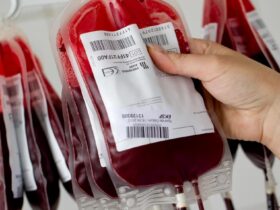 sangre y personalidad