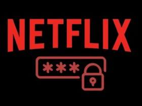 o se puede compartir la contraseña en netflix