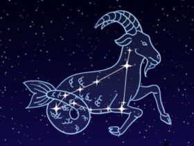 capricornio