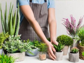 decorar plantas artificiales